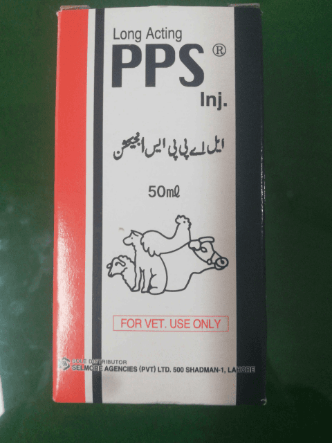 PPS L. A